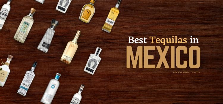 20 Best Tequila In Mexico (202Edition)