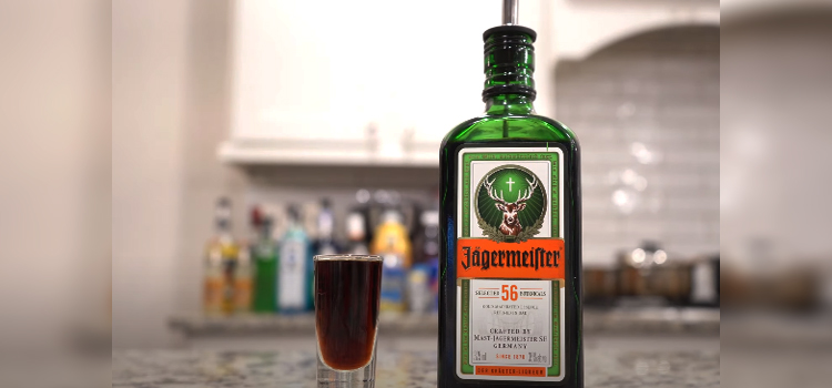 Bottle of Jägermeister and a shot glass