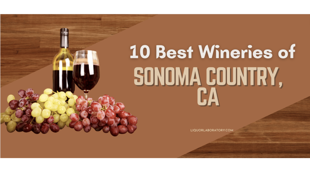 Sip & Savor 10 Best Wineries of Sonoma County, California