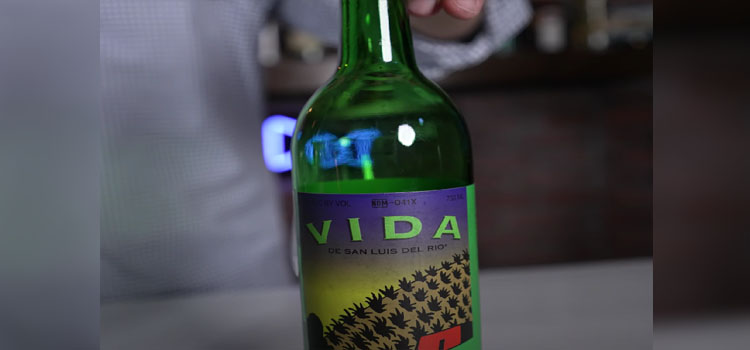 Bottle of Del Maguey Vida Mezcal