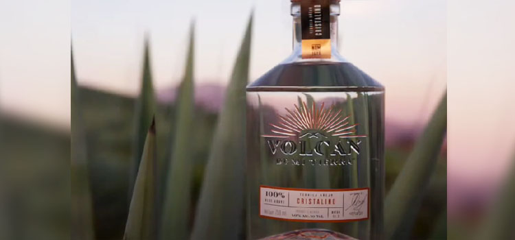 Bottle of Volcan De Mi Tierra