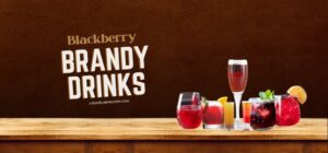 Blackberry Brandy Drinks