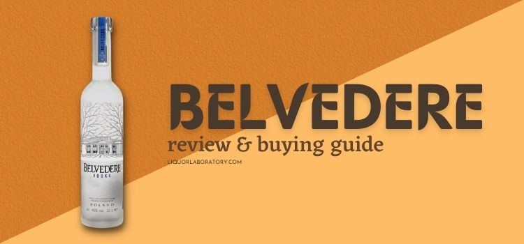 Belvedere vodka bottle, review and buying guide