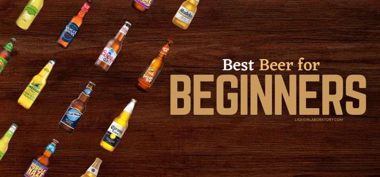 Best Beer for Beginners