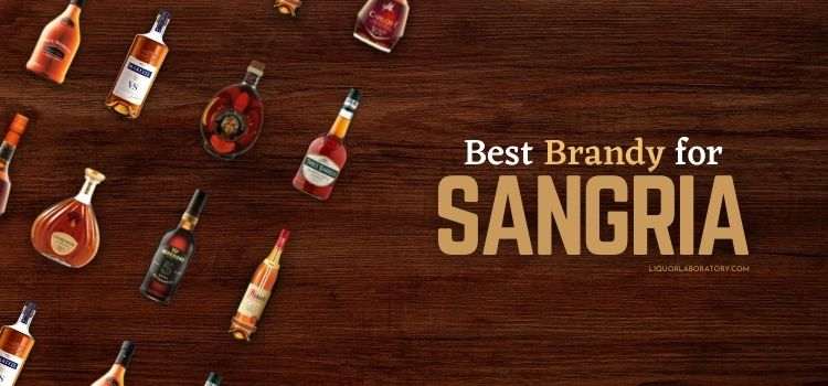Best Brandy For Sangria 1