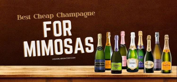 Best Cheap Champagne For Mimosas