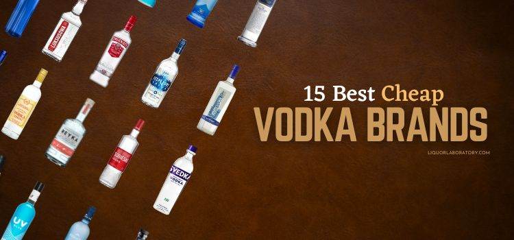 15 Best Cheap Vodka Brands