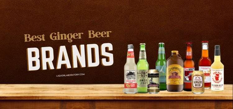 Best Ginger Beer Brands