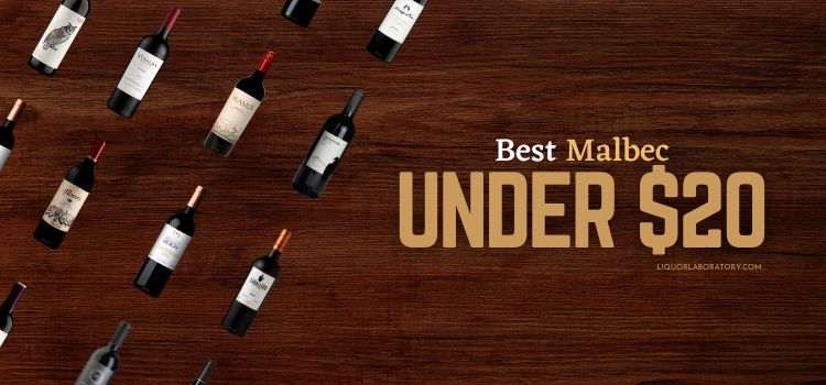 Best Malbec Under 20