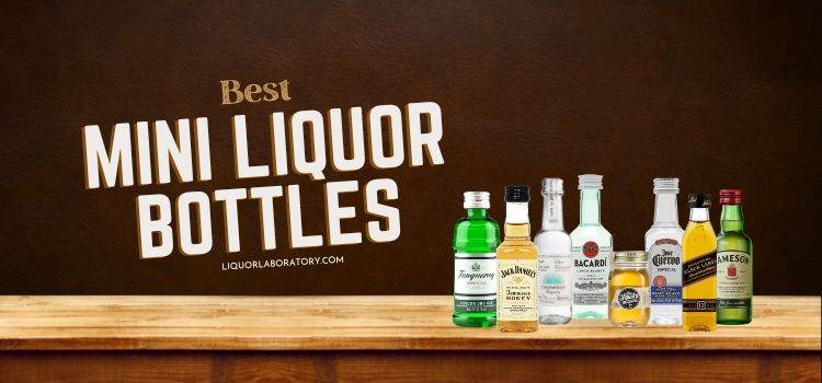 Best Mini Liquor Bottles
