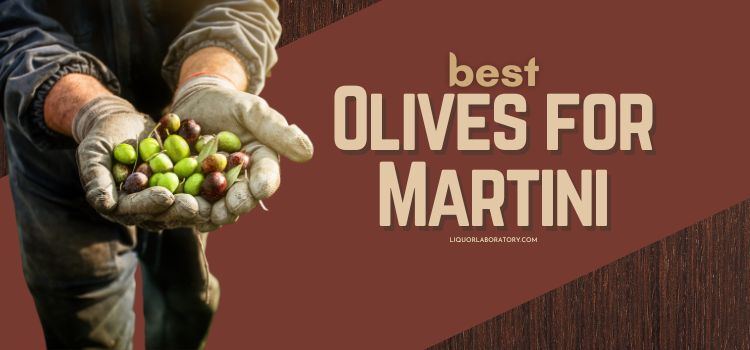 Best Olives for Martini