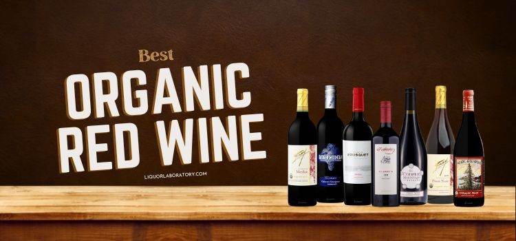 Best Organic Red Wine