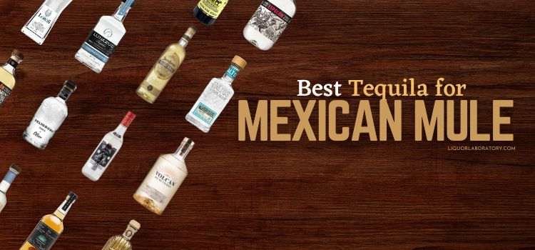 Best Tequila for Mexican Mule