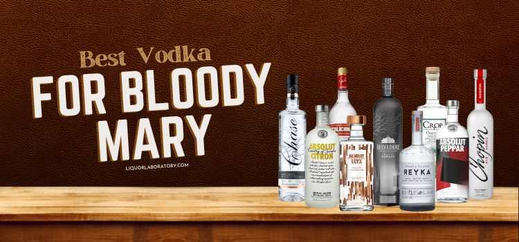 Best Vodka For Bloody Mary