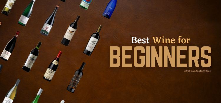 Best Wine for Beginners