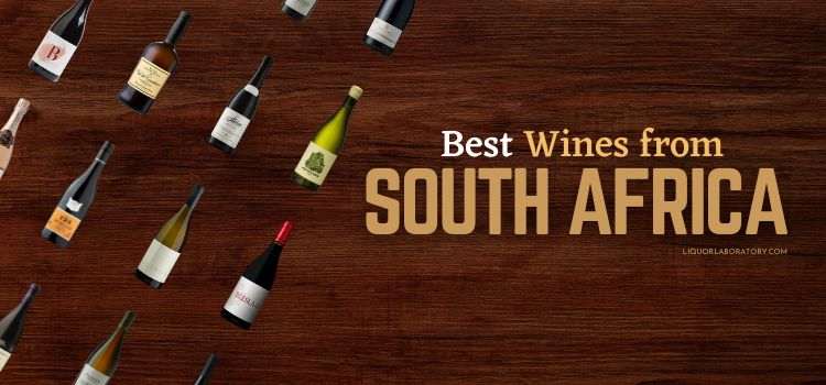 Best Wines from South Africa