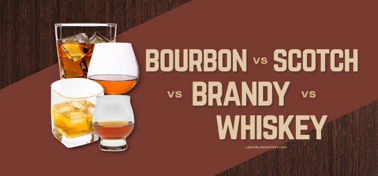 Bourbon vs Scotch vs Whiskey vs Brandy 2