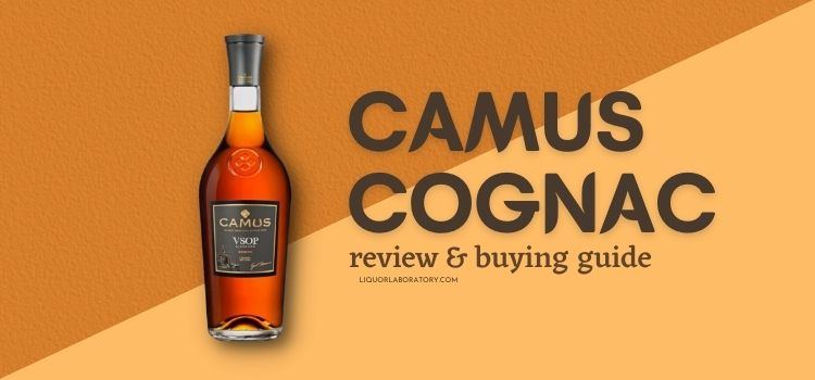Camus Cognac buying guide