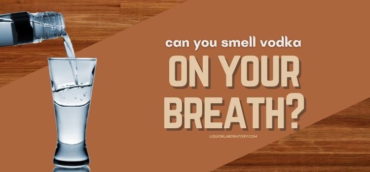 Can You Smell Vodka On Your Breath 1