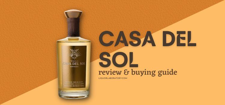 casa del sol buying guide