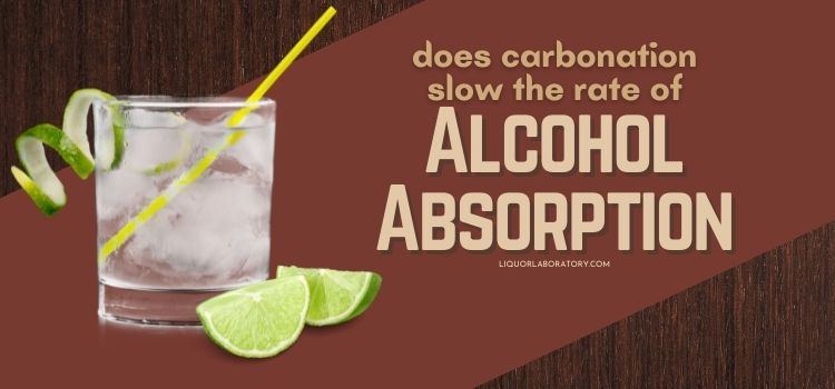 Does Carbonation Slow the Rate of Alcohol Absorption