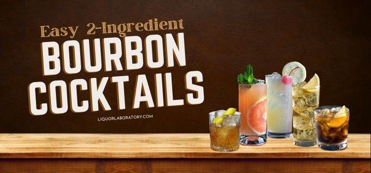Easy 2 Ingredient Bourbon Cocktails 1