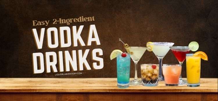 Easy 2 Ingredient Vodka Drinks