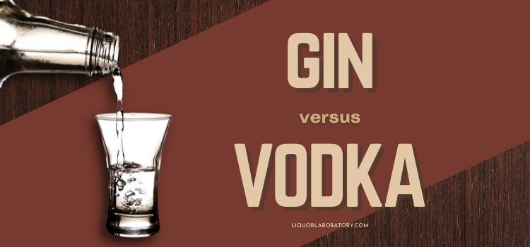 Gin vs Vodka