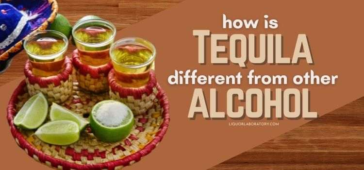 How is Tequila Different from Other Alcohol