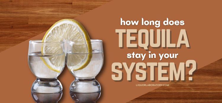 how long does tequila stay in your system