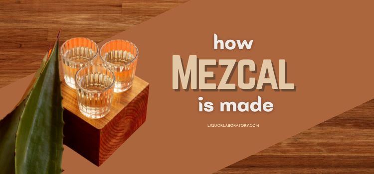 How Mezcal is Made