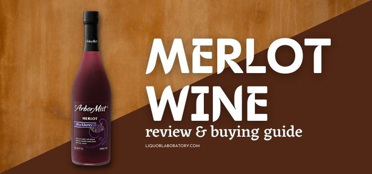 Merlot Wine buying guide