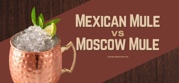 Mexican Mule vs Moscow Mule