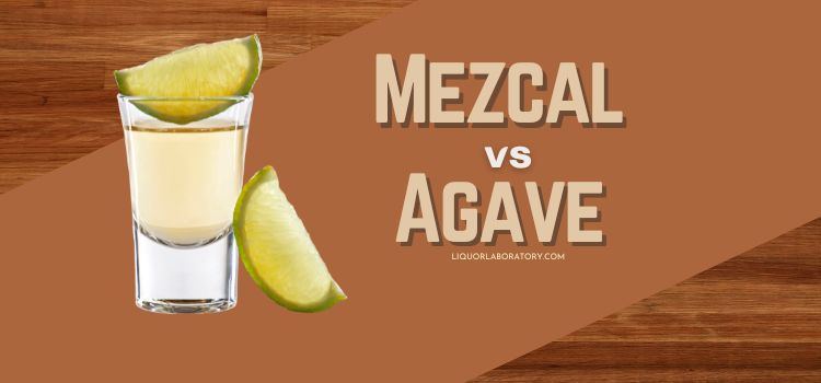 Mezcal vs Agave