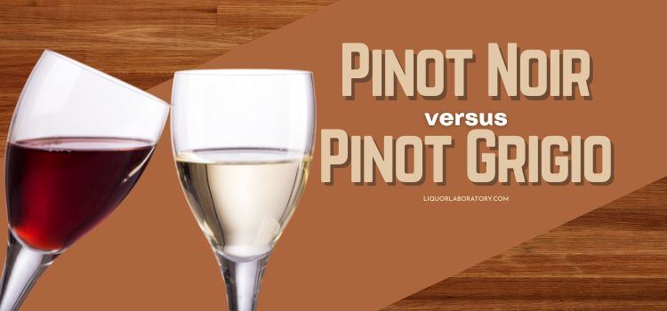 Pinot Noir vs Pinot Grigio