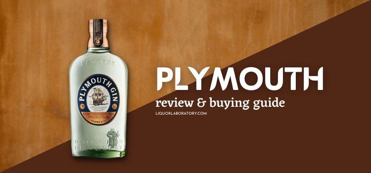 Plymouth buying guide