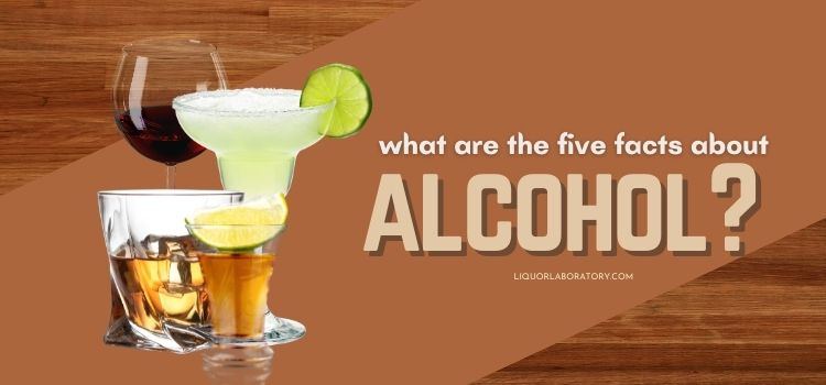 What are 5 facts about alcohol 1