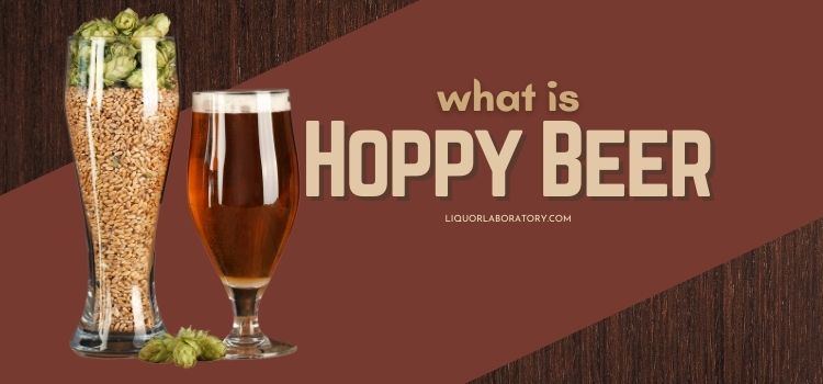 What Is Hoppy Beer