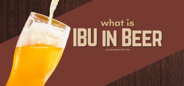 What Is IBU in Beer