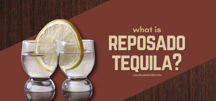 what is reposado tequila 1