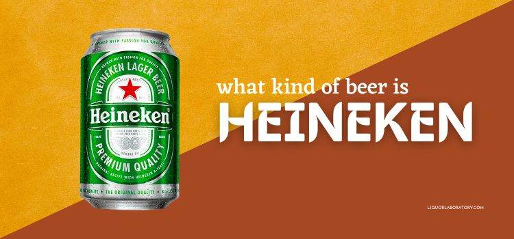 What Kind of Beer is Heineken
