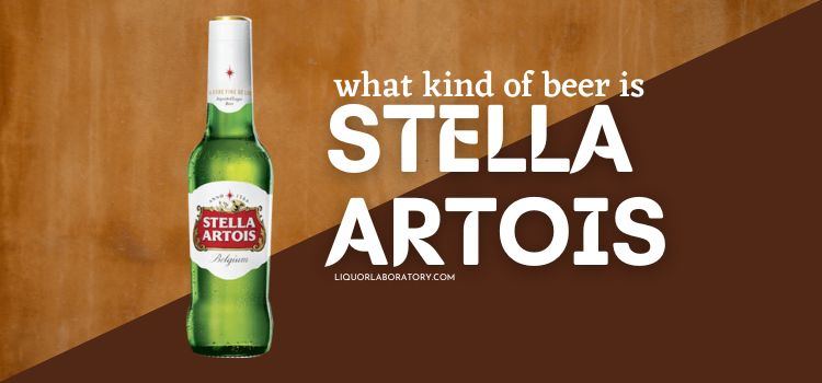 What Kind of Beer is Stella Artois