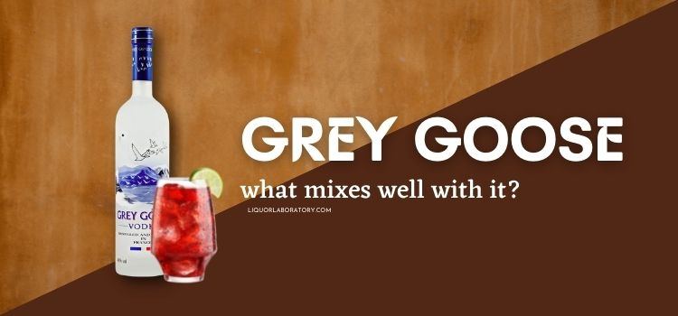 What Mixes Well With Grey Goose 1