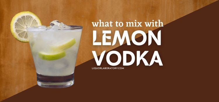 What to Mix with Lemon Vodka