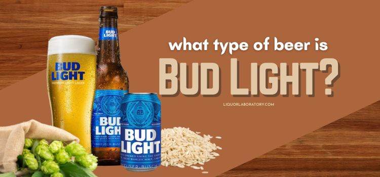 What Type Of Beer Is Bud Light