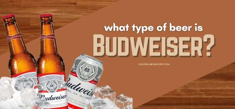 What Type of Beer is Budweiser