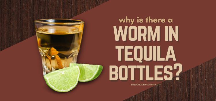 why is there a worm in tequila bottles 1